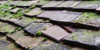 Four Oaks roof repair costs